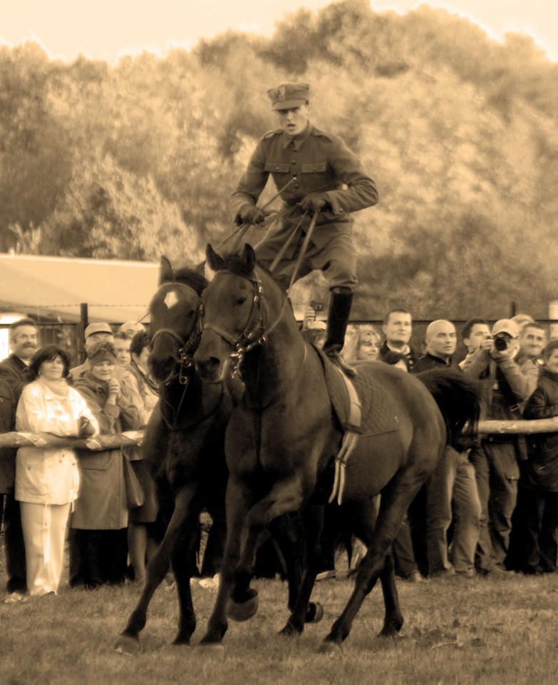 69369691 2343382565777372 3600318977970012160 n