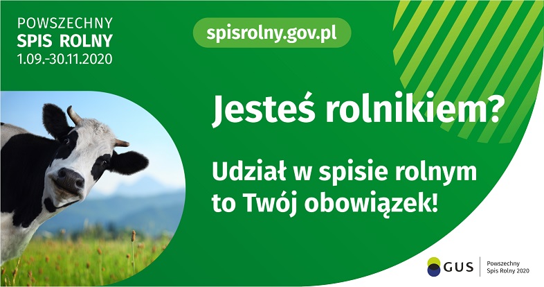 Obowiązek spisowy grafika na stronę internetową