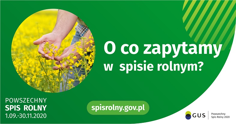 Pakiet 2 zakres pytań grafika do wpisu