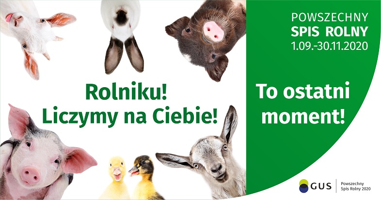 informacja interwencyjna