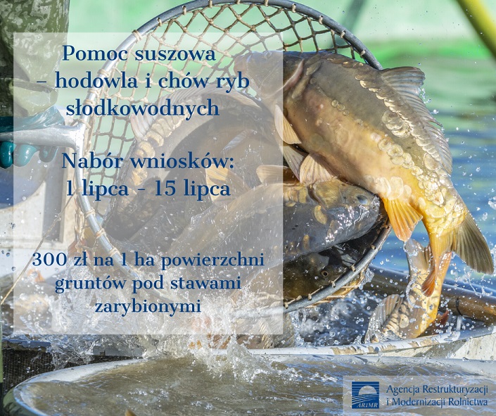 Pomoc suszowa hodowla i chów ryb słodkowodnych